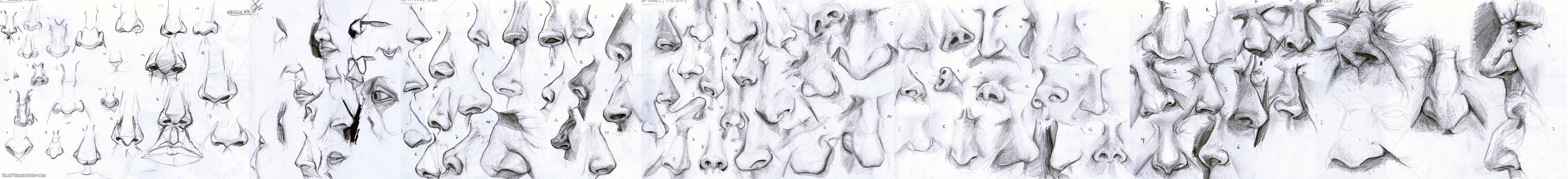 100 Noses